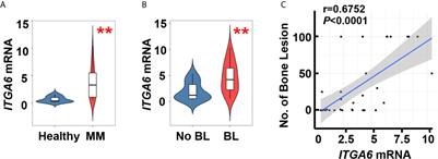 Promotion of Bone Lesions Through the Myeloma Integrin α6-Mediated Osteolytic Signaling